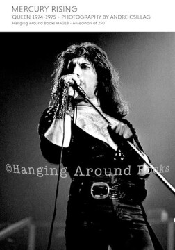 Mercury Rising 
